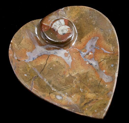 Heart Shaped Fossil Goniatite Dish #8862